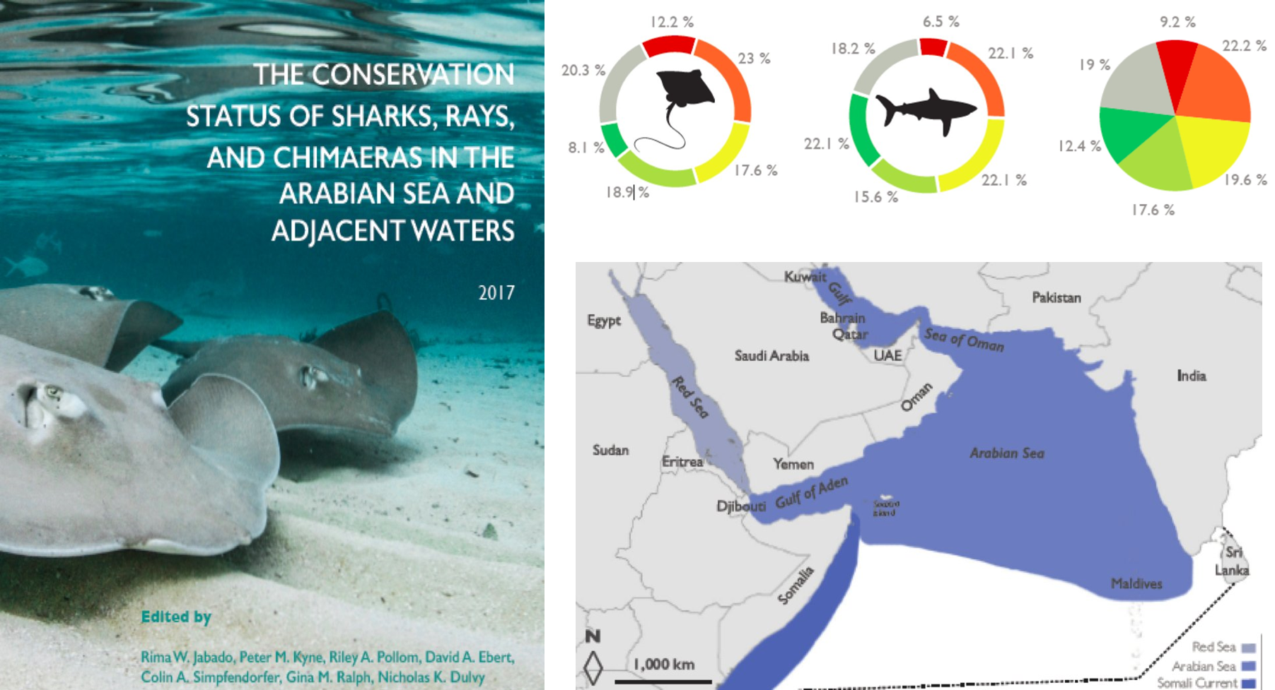 IUCN Red List assessment for Sharks, Rays, and Chimaeras of the Arabian Sea and adjacent Waters