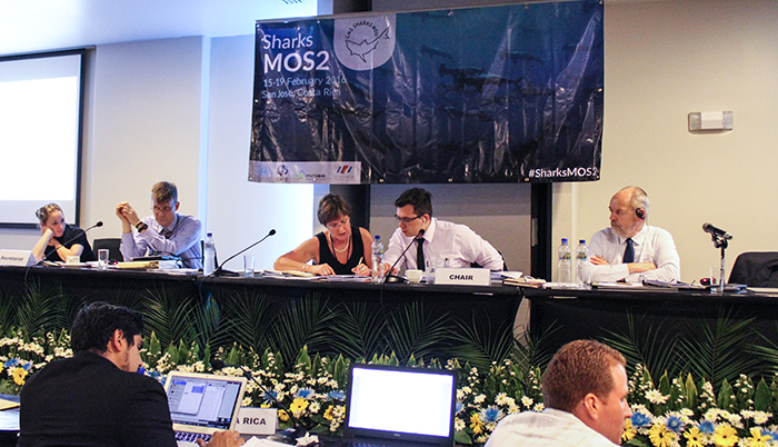 Sharks MOS2 - view of the podium © IISD