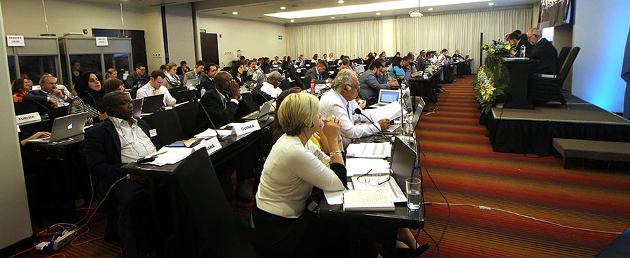 Sharks MOS2 - plenary view © IISD