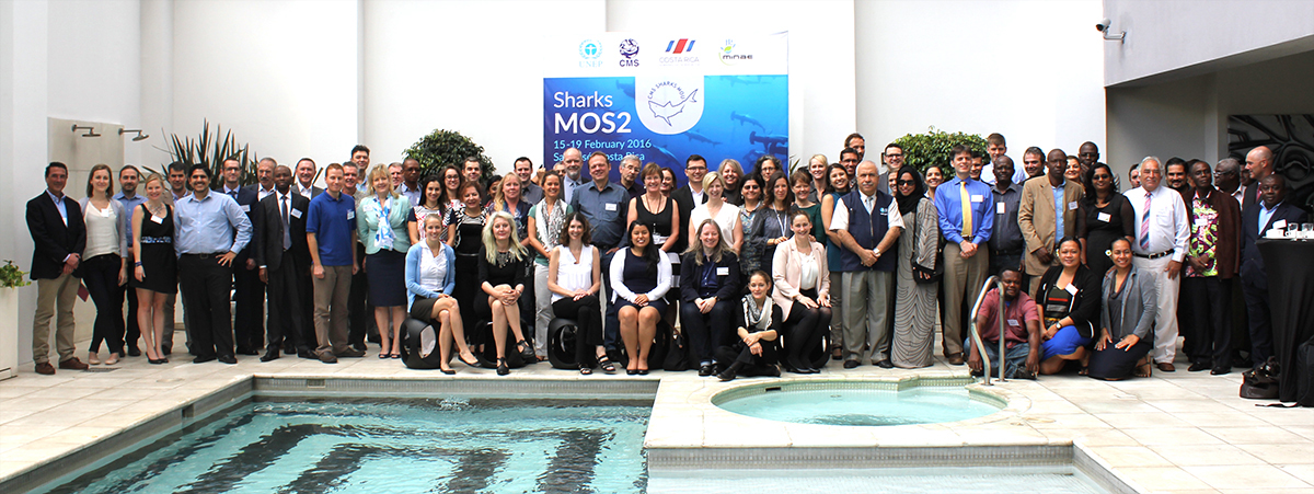 Meeting participants © IISD