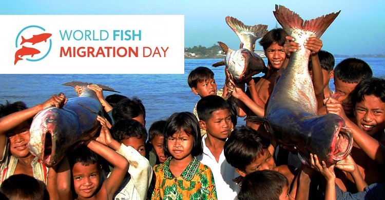 Enfants portant des poisson-chats des rivières à Tonlé Sap - © Zeb Hogan