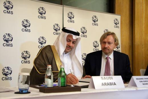 Dr. Hany Tatwany, Vice President of the Saudi Wildlife Authority, signs the Sharks MOU on behalf of the Kingdom of Saudi Arabia; photo credits: Heidrun Frisch-Nwakanma  