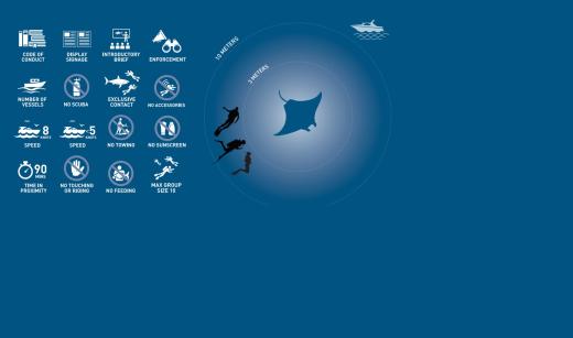 ResponsibleShark and Ray Tourism